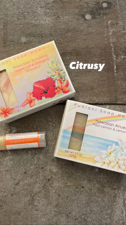 Holiday Hawaiian Soap in Gift Bag with Hawaiian Beeswax Lip Balm // 2 x soap bars and 1 x lip balm - Image 7