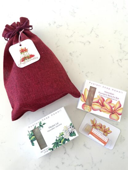 Holiday Hawaiian Soap in Gift Bag with Hawaiian Beeswax Lip Balm // 2 x soap bars and 1 x lip balm