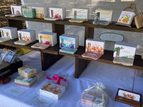 Waikiki Artfest August 2025