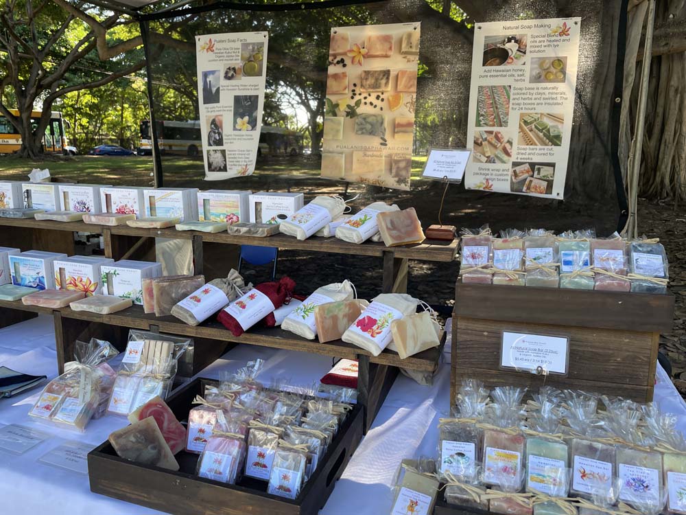 Waikiki Artfest November 2022